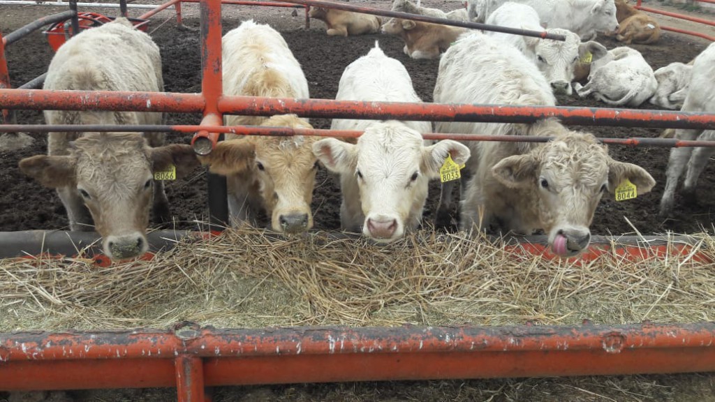 WhatsApp Image 2019-11-08 at 12.36.56